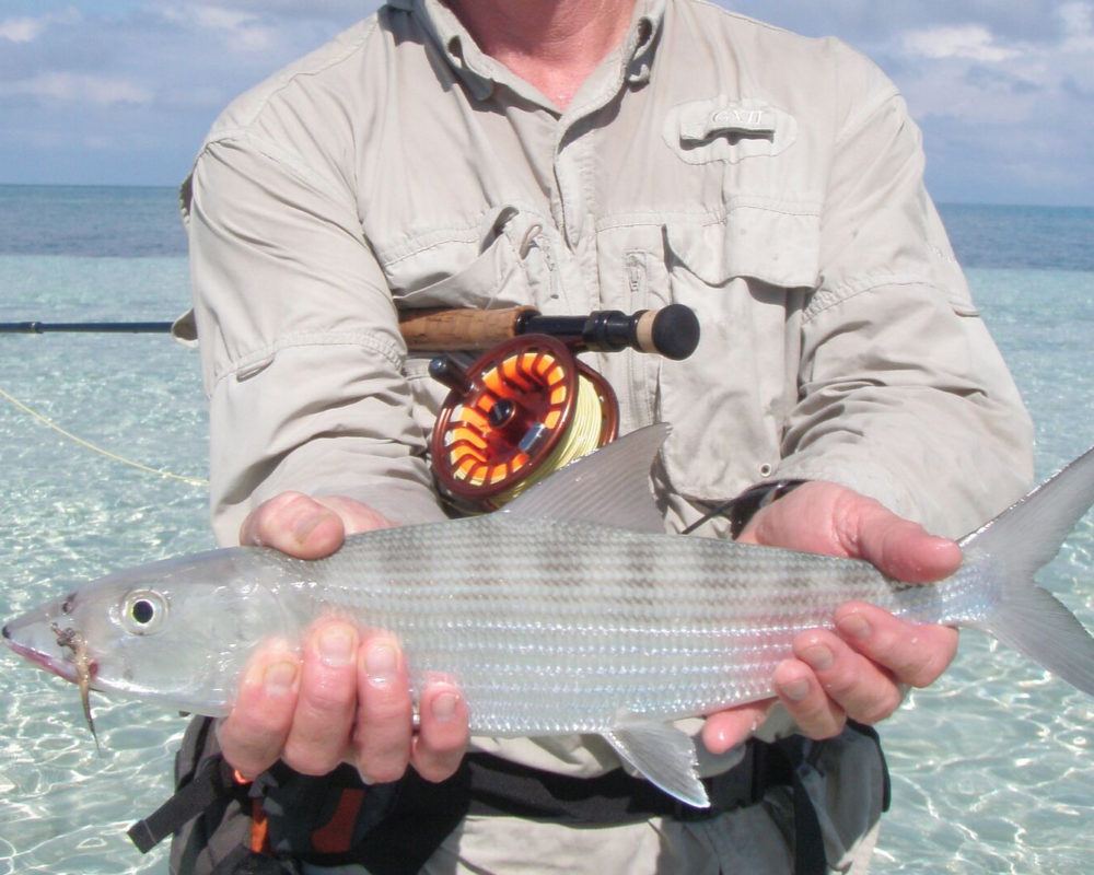 fly fishing Belize day trip