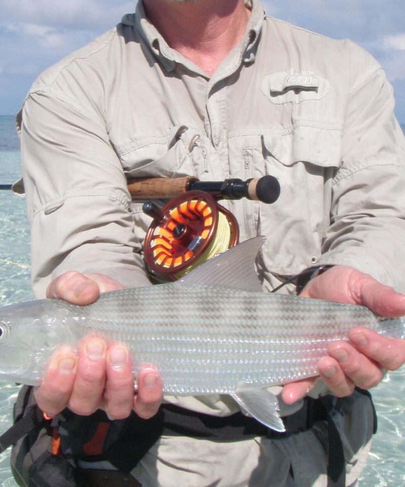 fly fishing Belize day trip