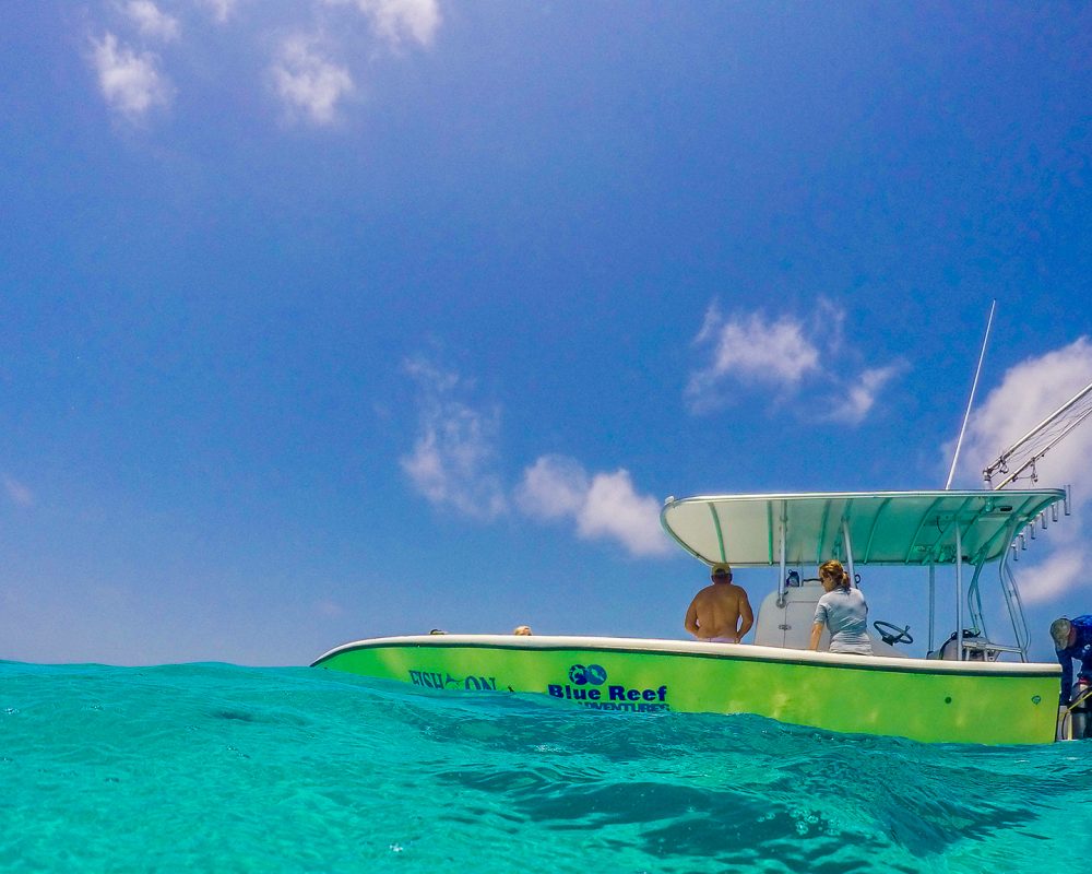 day trip on the inner reef belize