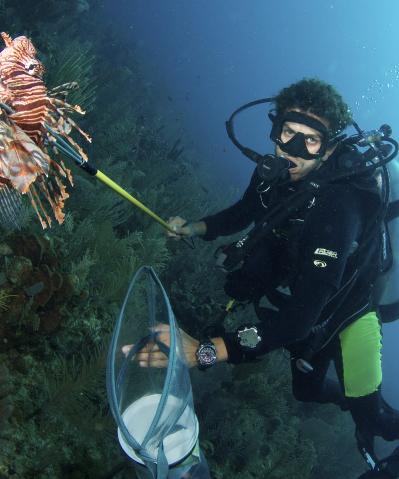 protecting the reef from lionfish