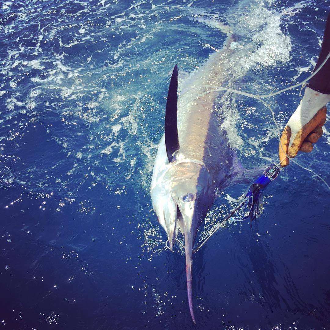 When is the best time of year to fish in Belize? - Blue Reef Adventures